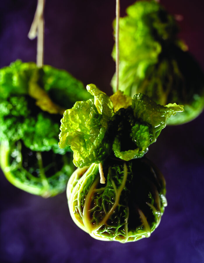 RC_L076_SAVOY_PARCELS-1_2022-08-10-080754_mfgp